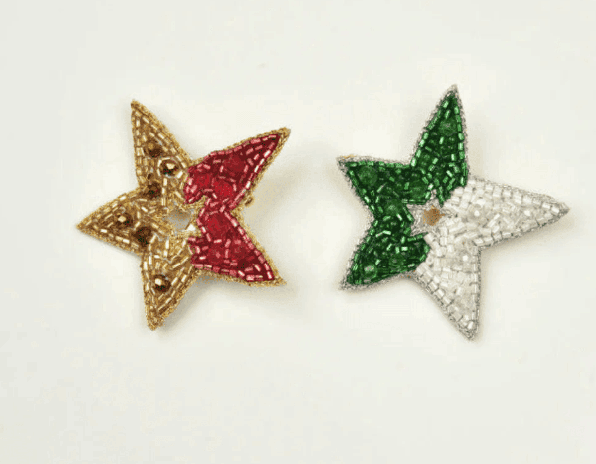 Guiding Star Hair Clip